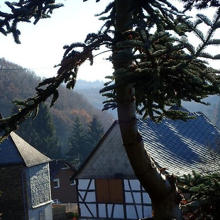 Vakantiehuis Hunsrueck Leisel Exterior foto