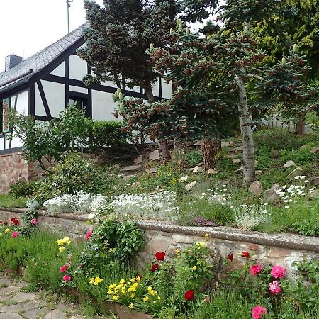 Vakantiehuis Hunsrueck Leisel Exterior foto