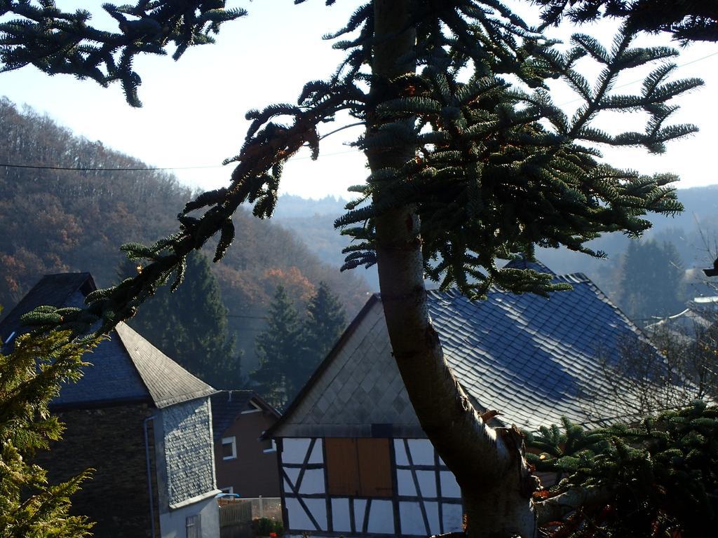 Vakantiehuis Hunsrueck Leisel Exterior foto
