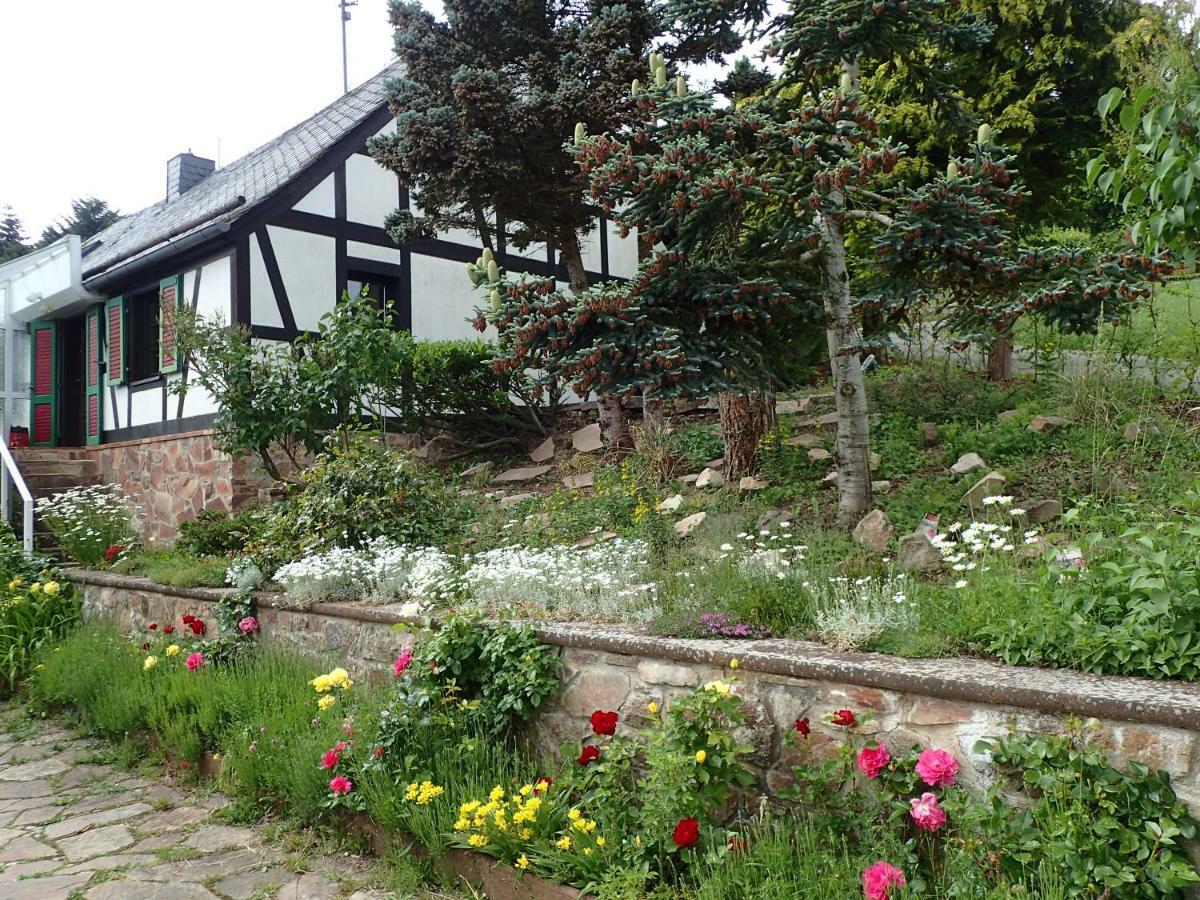 Vakantiehuis Hunsrueck Leisel Exterior foto